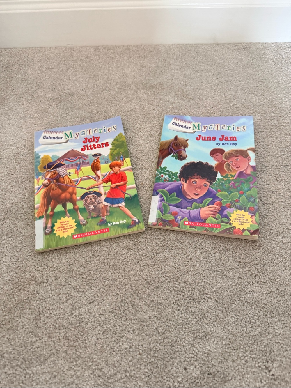 Scholastic Kids Mystery Paperback Pair - Green, Blue, Red Covers